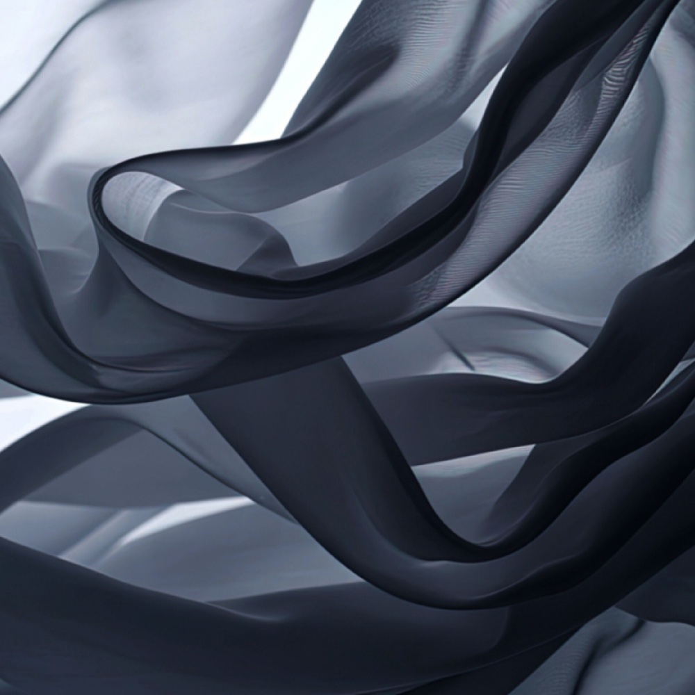 Black Silk Organza